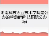 湖南科技职业技术学院是公办的嘛(湖南科技职院公办吗)