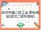 武汉市第二轻工业 职校地址(武汉二轻校地址)