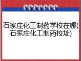 石家庄化工制药学校在哪(石家庄化工制药校址)