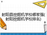 射阳县挖掘机学校哪家强(射阳挖掘机学校排名)