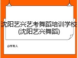 沈阳艺兴艺考舞蹈培训学校(沈阳艺兴舞蹈)