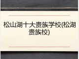 松山湖十大贵族学校(松湖贵族校)