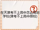 在天津考不上高中怎么规划学校(津考不上高中择校)