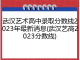 武汉艺术高中录取分数线2023年最新消息(武汉艺高2023分数线)