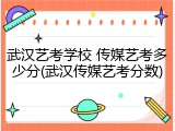 武汉艺考学校 传媒艺考多少分(武汉传媒艺考分数)