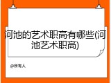 河池的艺术职高有哪些(河池艺术职高)