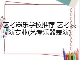 艺考器乐学校推荐 艺考表演专业(艺考乐器表演)