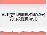 乳山挖机培训机构哪家好(乳山挖掘机培训)