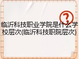 临沂科技职业学院是什么学校层次(临沂科技职院层次)
