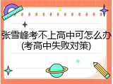 张雪峰考不上高中可怎么办(考高中失败对策)