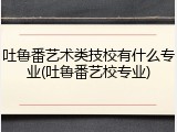 吐鲁番艺术类技校有什么专业(吐鲁番艺校专业)