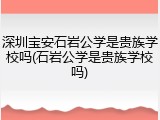 深圳宝安石岩公学是贵族学校吗(石岩公学是贵族学校吗)
