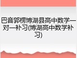 巴音郭楞博湖县高中数学一对一补习(博湖高中数学补习)