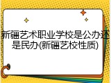 新疆艺术职业学校是公办还是民办(新疆艺校性质)