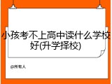 小孩考不上高中读什么学校好(升学择校)
