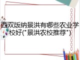 西双版纳景洪有哪些农业学校好("景洪农校推荐")