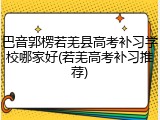 巴音郭楞若羌县高考补习学校哪家好(若羌高考补习推荐)