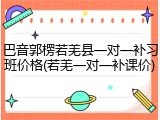 巴音郭楞若羌县一对一补习班价格(若羌一对一补课价)
