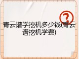 青云谱学挖机多少钱(青云谱挖机学费)