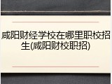 咸阳财经学校在哪里职校招生(咸阳财校职招)