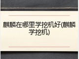 麒麟在哪里学挖机好(麒麟学挖机)