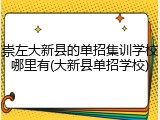 崇左大新县的单招集训学校哪里有(大新县单招学校)