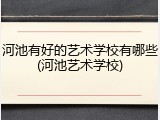 河池有好的艺术学校有哪些(河池艺术学校)