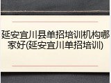 延安宜川县单招培训机构哪家好(延安宜川单招培训)