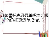 吐鲁番托克逊县单招培训哪个好(托克逊单招培训)