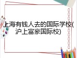 上海有钱人去的国际学校(沪上富豪国际校)