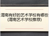 渭南有好的艺术学校有哪些(渭南艺术学校推荐)