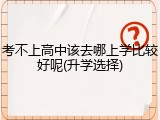 考不上高中该去哪上学比较好呢(升学选择)