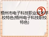梧州市电子科技职业技术学校特色(梧州电子科技职校特色)
