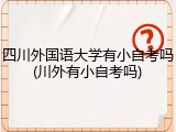 四川外国语大学有小自考吗(川外有小自考吗)
