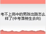 考不上高中的男孩出路怎么样了(中考落榜生去向)