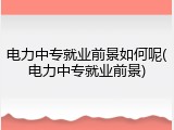 电力中专就业前景如何呢(电力中专就业前景)