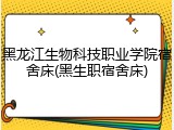 黑龙江生物科技职业学院宿舍床(黑生职宿舍床)