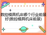 数控模具机床哪个行业前景好(数控模具机床前景)