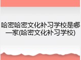 哈密哈密文化补习学校是哪一家(哈密文化补习学校)
