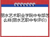 丽水艺术职业学院中专部怎么样(丽水艺职中专评价)