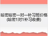 哈密哈密一对一补习班价格(哈密1对1补习收费)