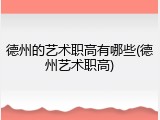 德州的艺术职高有哪些(德州艺术职高)