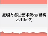 昆明有哪些艺术院校(昆明艺术院校)