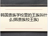 韩国贵族学校里的王族叫什么(韩贵族校王族)