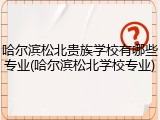 哈尔滨松北贵族学校有哪些专业(哈尔滨松北学校专业)
