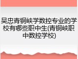 吴忠青铜峡学数控专业的学校有哪些职中生(青铜峡职中数控学校)