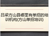 吕梁方山县哪里有单招的培训机构(方山单招培训)