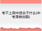 考不上高中适合干什么(中考落榜出路)