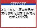 乌鲁木齐头屯河高考艺考生文化课补习班推荐(头屯河艺考文化补习)