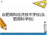 合肥高科经济技术学校(合肥高科学校)